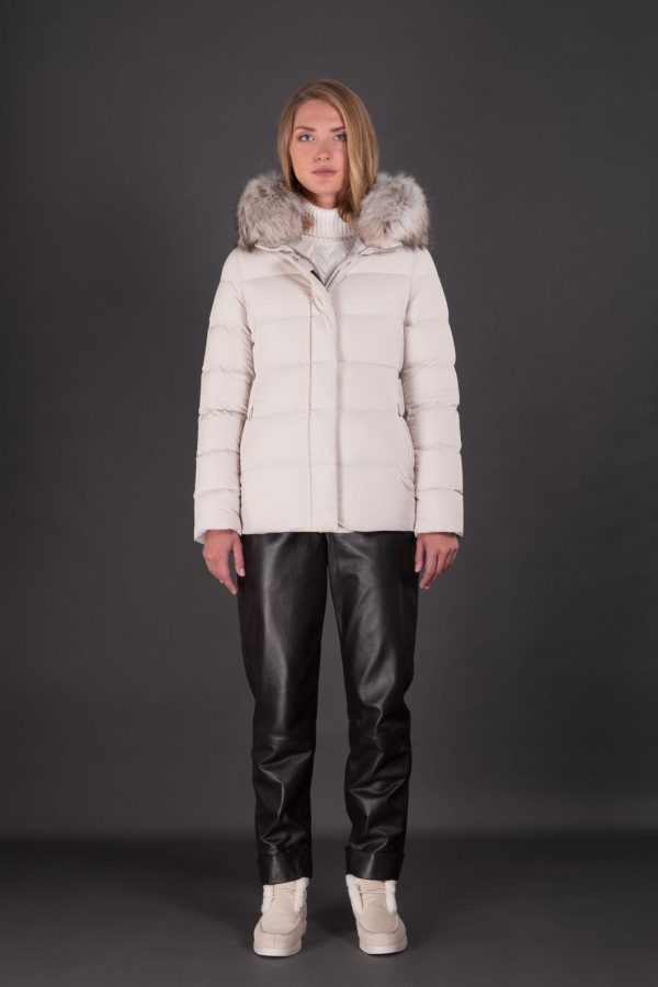 Veniceurban.shop56573852f7 1