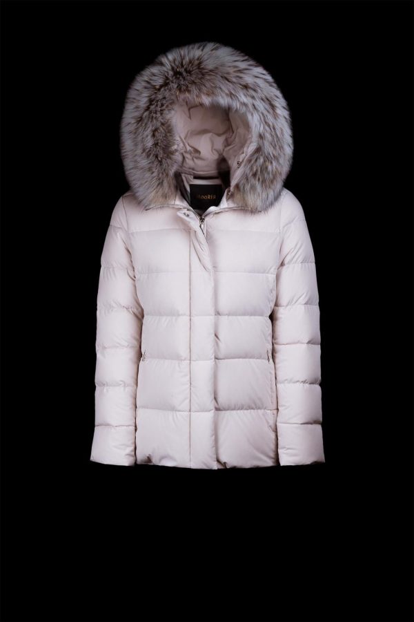 Veniceurban.shop56573852f7 2